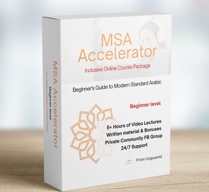 MSA Accelerator Linguamid