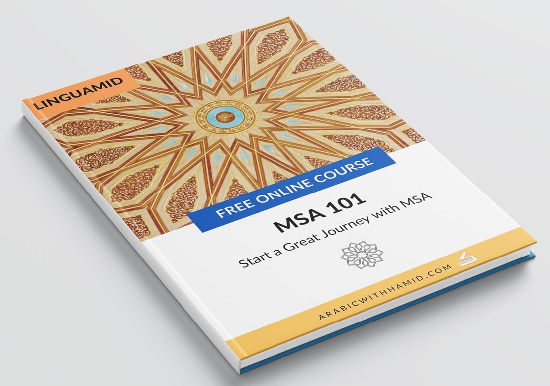 MSA 101 eBook Linguamid MSA 101 eBook Linguamid