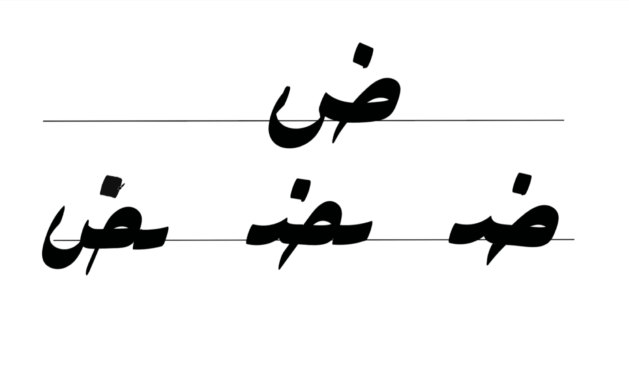 MSA Accelerator Linguamid