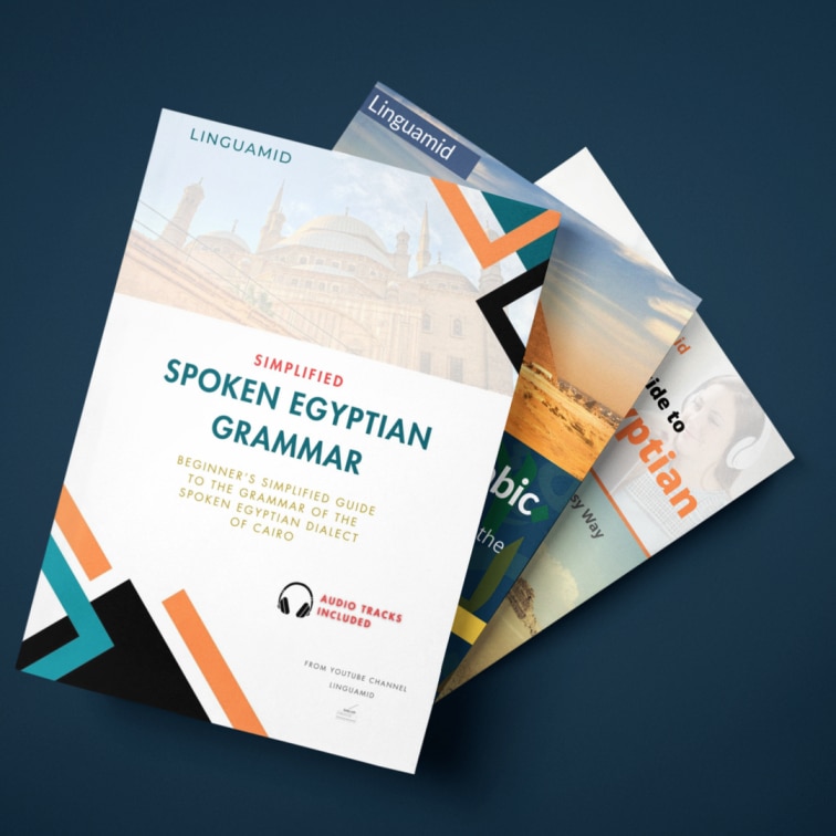 Campaign Linguamid products Christmas 2023aign products Christmas 2023 Campaign Linguamid products Christmas 2023