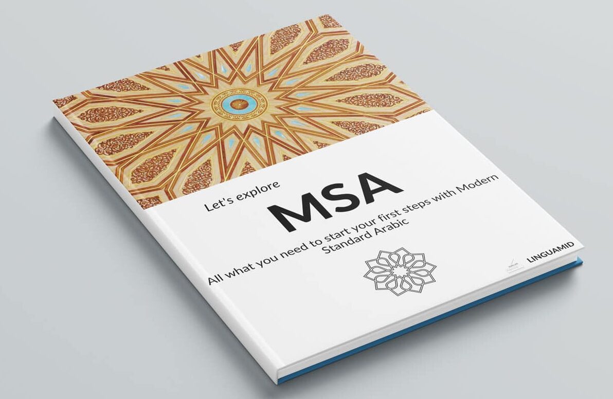Let's explore MSA Linguamid